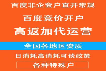 SEM广告投放的创意与执行：成功案例剖析
